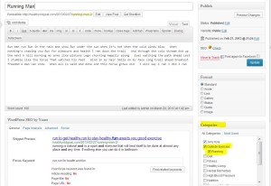 Categories in WordPress posts