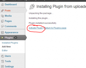 activate plugin