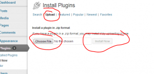 wordpress plug in user addresses