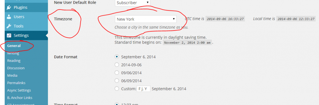 setting time zone in wordpress