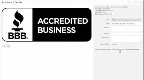 edit more details wordpress image editing