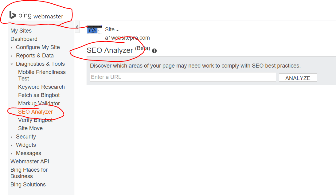 bing seo analyzer