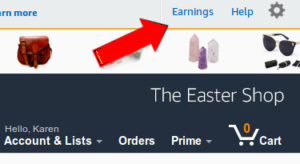 View Amazon Affiliate Earnings