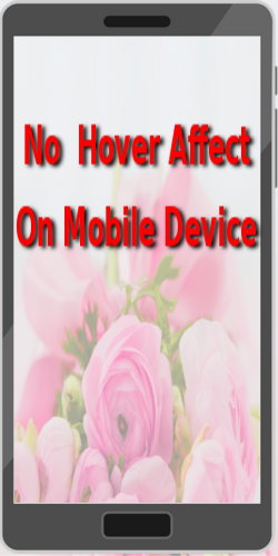 Adding Hover Effect On Mobile Devices