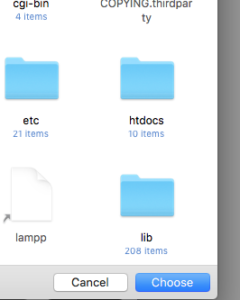 htdocs folder site setup