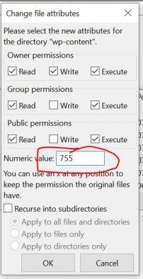 755 permissions