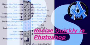 Resize Tools in Adobe Photoshop