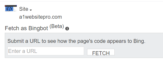 Fetch as Bingbot Full URL