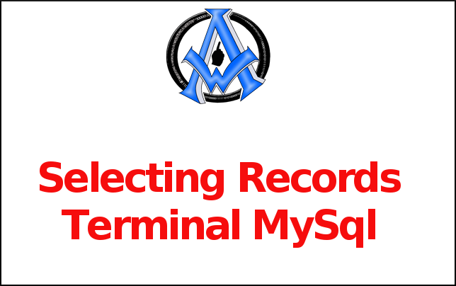 Selecting Records Terminal MySql
