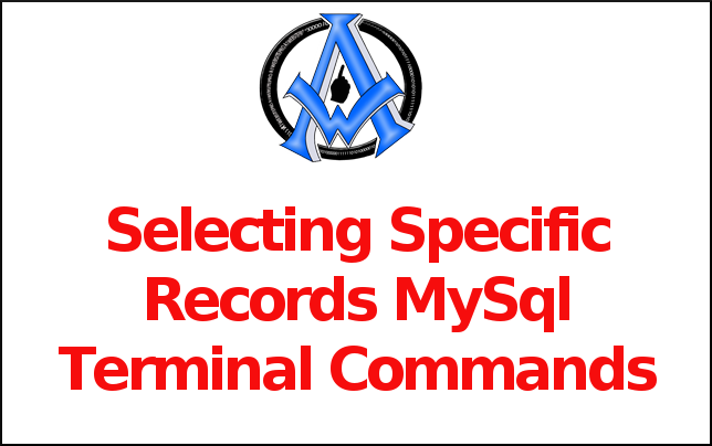 Selecting Specific Records MySql Terminal Command
