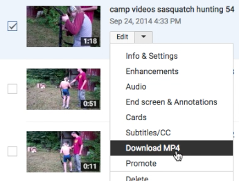 Click check box next to video you want to download from YouTube