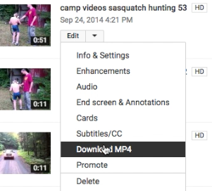 Repeat process to download more videos from your YouTube account